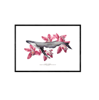 Jorobada y Orquideas - Tita Bianchi