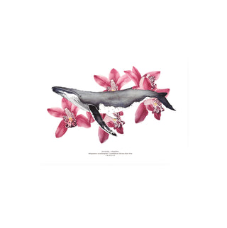 Jorobada y Orquideas - Tita Bianchi