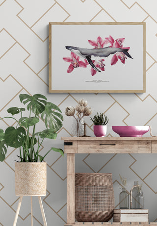 Jorobada y Orquideas - Tita Bianchi