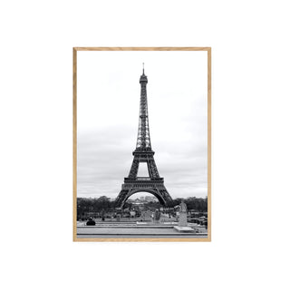 Cuadro Torre Eiffel Paris III