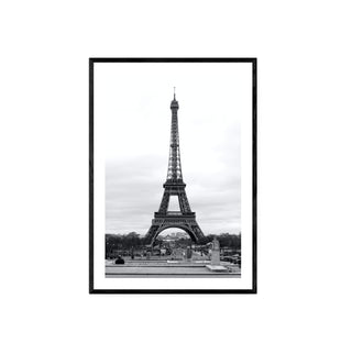 Cuadro Torre Eiffel Paris III