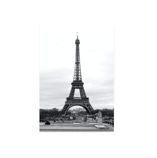 Cuadro Torre Eiffel Paris III
