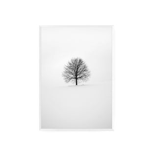 Cuadro Arbol Invernal