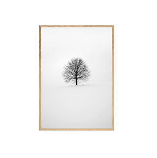 Cuadro Arbol Invernal