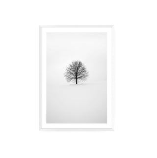 Cuadro Arbol Invernal