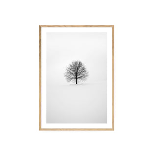 Cuadro Arbol Invernal