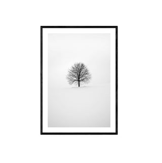 Cuadro Arbol Invernal