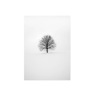 Cuadro Arbol Invernal