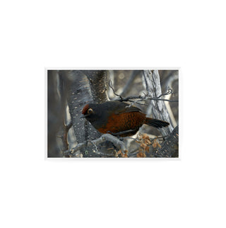 Huedhued I  - Roberto Mayol