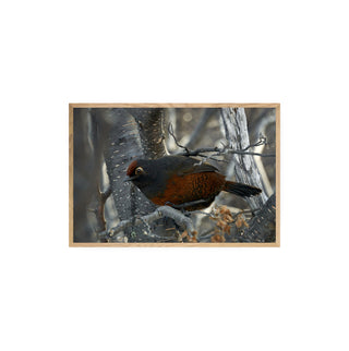 Huedhued I  - Roberto Mayol