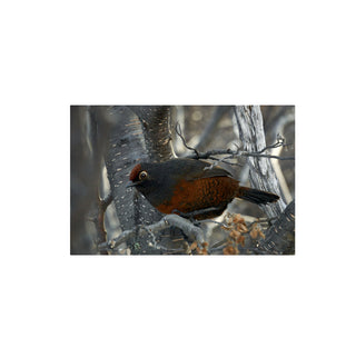 Huedhued I  - Roberto Mayol