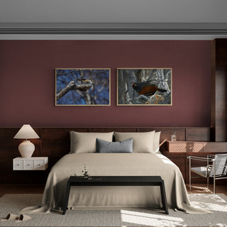 Huedhued I  - Roberto Mayol