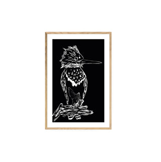 Martín Pescador - Fran Prieto