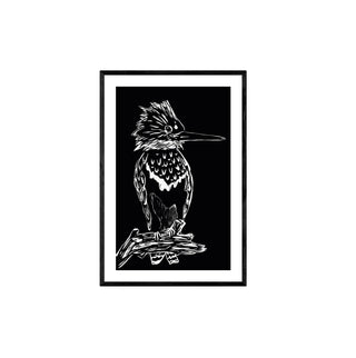 Martín Pescador - Fran Prieto