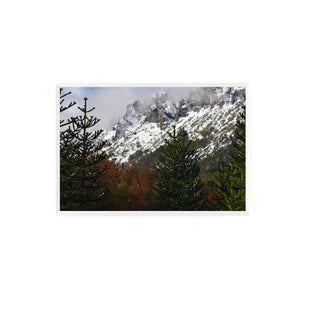 Parque Nacional Villarica, Región de la Araucanía - Daniel Filipek