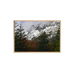 Parque Nacional Villarica, Región de la Araucanía - Daniel Filipek