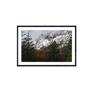 Parque Nacional Villarica, Región de la Araucanía - Daniel Filipek