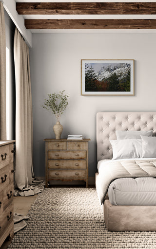 Parque Nacional Villarica, Región de la Araucanía - Daniel Filipek