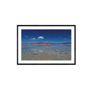 Flamencos, Salar de Surire - Daniel Filipek