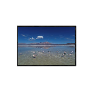 Flamencos, Salar de Surire - Daniel Filipek