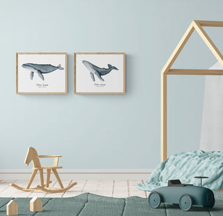 Ballena Jorobada Kids II  - Fran Sandoval