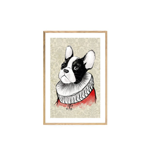 Perro Arlequín - Luis Castañeda