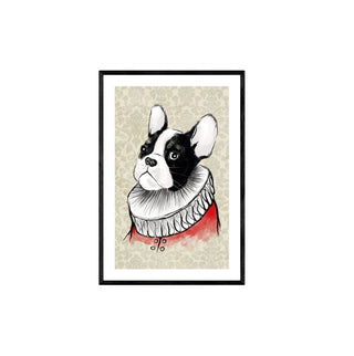 Perro Arlequín - Luis Castañeda