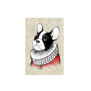 Perro Arlequín - Luis Castañeda