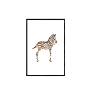 Baby Cebra flor - Gabriella Pruzzo