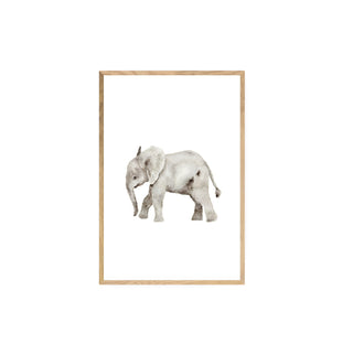 Baby Elefante - Gabriella Pruzzo