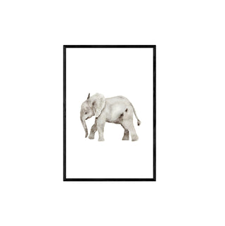 Baby Elefante - Gabriella Pruzzo