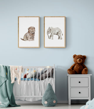 Baby Elefante - Gabriella Pruzzo