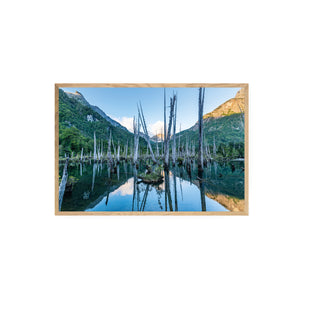 Laguna Alerces - Francisco Perez