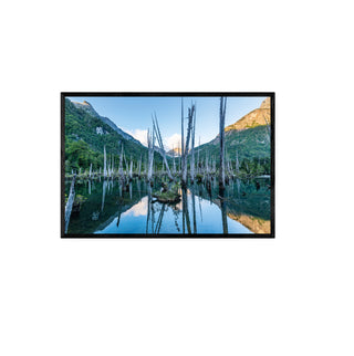 Laguna Alerces - Francisco Perez