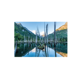 Laguna Alerces - Francisco Perez