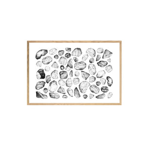 Piedras en el Río - José Domingo HD