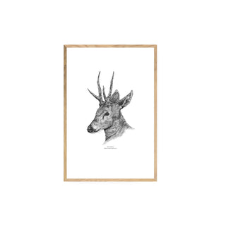 Huemul - Jose Domingo HD