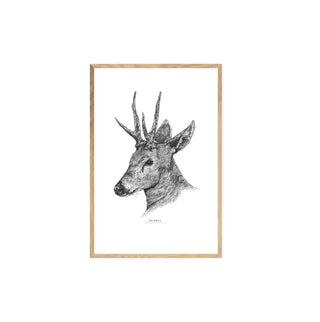 Huemul - Jose Domingo HD