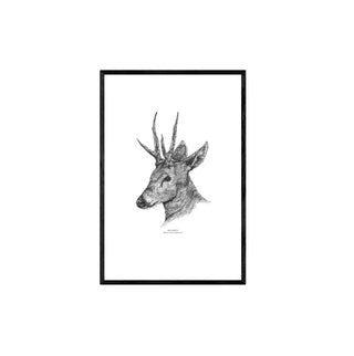 Huemul - Jose Domingo HD