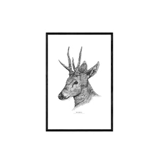 Huemul - Jose Domingo HD