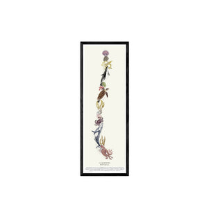 Cuadro Mapa La Marinera - La Jota Ilustraciones - Fine Art Ilustración | Artenigma