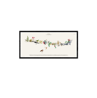 Cuadro Mapa Nativo Chile - La Jota Ilustraciones - Fine Art Ilustración | Artenigma