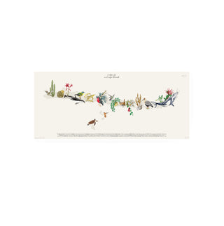 Cuadro Mapa Nativo Chile - La Jota Ilustraciones
