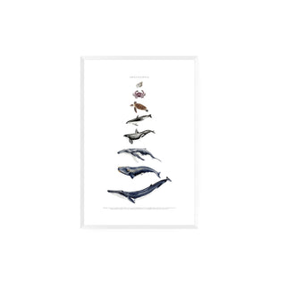 Cuadro Chile Pacifico - La Jota Ilustraciones