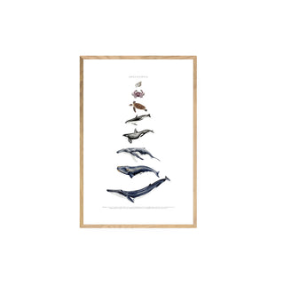 Cuadro Chile Pacifico - La Jota Ilustraciones