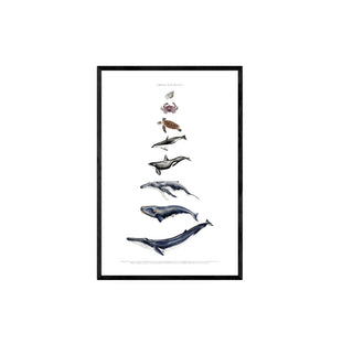 Cuadro Chile Pacifico - La Jota Ilustraciones - Fine Art Ilustración - Artista Chileno | Artenigma