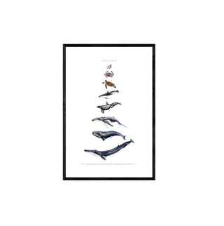 Cuadro Chile Pacifico - La Jota Ilustraciones