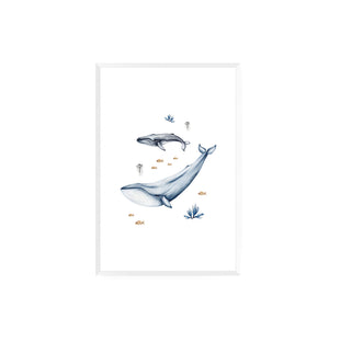 Cuadro Oceano - La Jota Ilustraciones