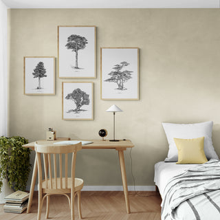 Lenga - José Domingo HD