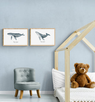 Ballena Jorobada Kids I  - Fran Sandoval